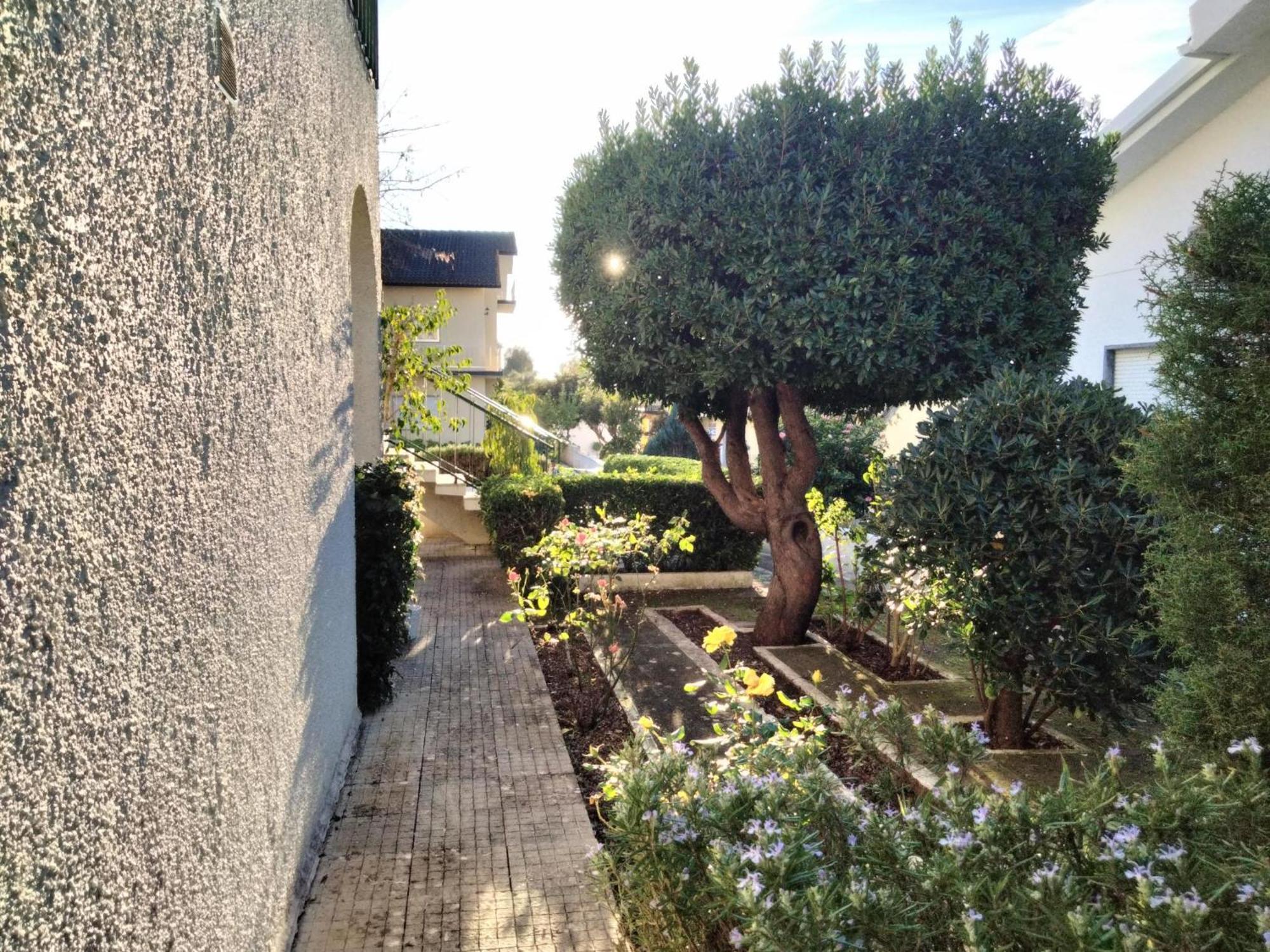 Casa Xantarim Bed & Breakfast Santarem Exterior photo